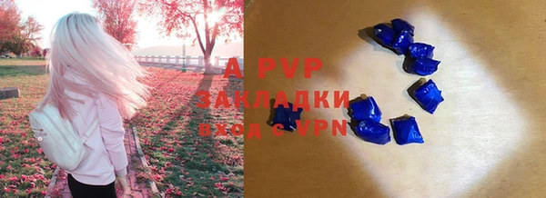 дживик Лихославль