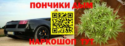 ПСИЛОЦИБИНОВЫЕ ГРИБЫ Камышлов