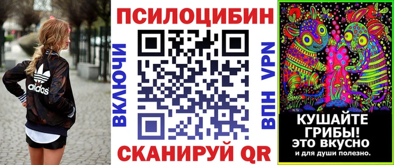 Галлюциногенные грибы MAGIC MUSHROOMS  Фрязино 