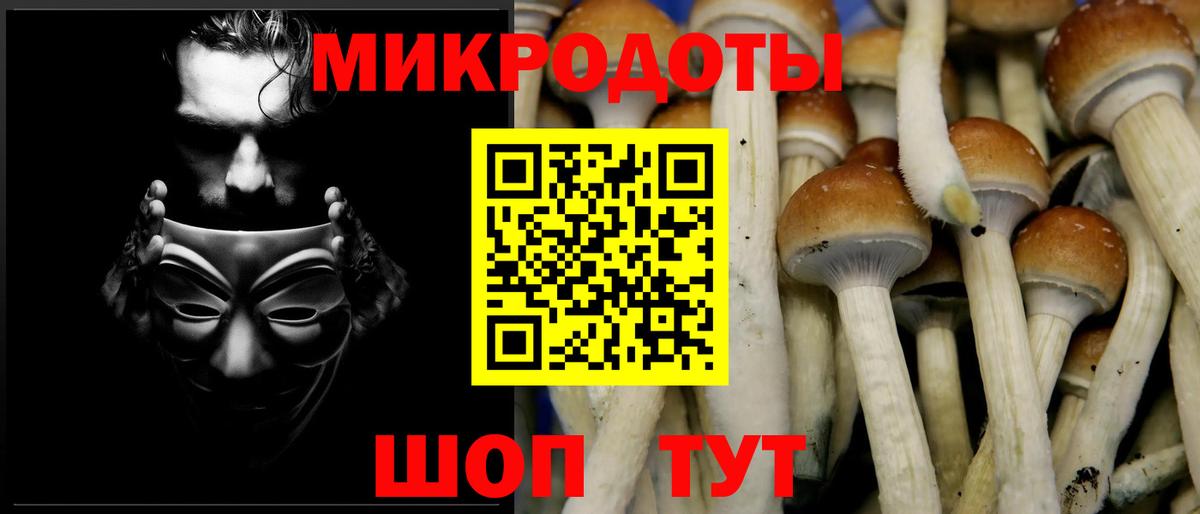 Псилоцибиновые грибы Psilocybe  Фрязино  Галлюциногенные грибы Magic Shrooms 