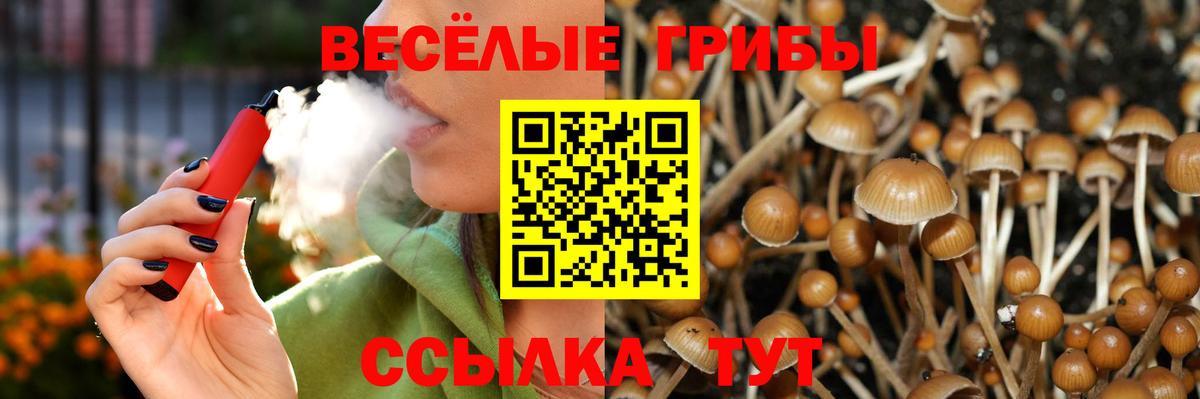 Галлюциногенные грибы Cubensis Фрязино
