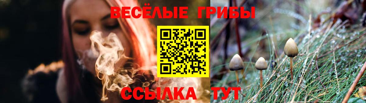 Фрязино  Псилоцибиновые грибы Psilocybine cubensis  Вход с VPN  Псилоцибиновые грибы Psilocybine cubensis 